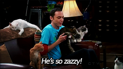 The Big Bang Theory Gif Sheldon with cats 